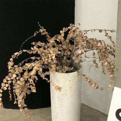 兽设比例设计基础教程兽圈社群